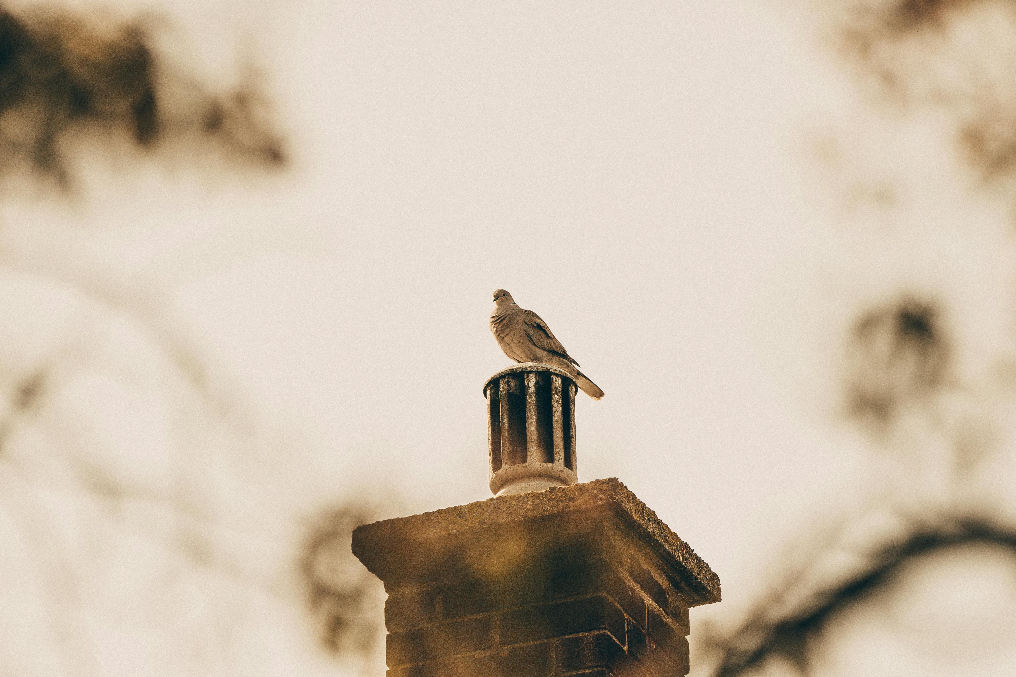 Professional Chimney Cap Installation Services in Bedford, MA Expert Chimney Cap Installation in Bedford, Massachusetts